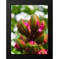 thumbnail image 2 of Grayscale 19x24 Black Modern Framed Museum Art Print Titled - Flower Knot I, 2 of 5