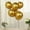 Gold, variant on BalsaCircle 50 Gold 12 in Round Metallic Latex Biodegradable Balloons Wedding Reception Events Birthday Party Decorations Supplies