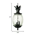 thumbnail image 3 of Lanai 3-Light Black Coral Hanging Light, 3 of 6