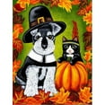 thumbnail image 1 of Carolines Treasures AMB1364CHF Thanksgiving Friends Schnauzer Flag Canvas House Size, 1 of 4