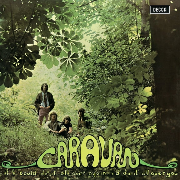 Caravan - If I Could Do It All Over Again, I'd Do It All Over You - 180gm Vinyl - Music & Performance