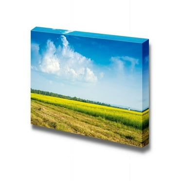 wall26 - Canvas Prints Wall Art - Fresh Open Field of Tall Grass Under a Clear Blue Sky | Modern Wall Decor/Home Decoration Stretched Gallery Canvas Wrap Giclee Print. Ready to Hang - 16" x 24&q
