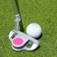 thumbnail image 5 of Juego De Club Infantil De 5 Piezas, Juego De Entrenamiento De Club De Hierro Y Putter De Madera Junior De aleación Con Bolsa De Soporte Y Fundas Para La Cabeza Para Niños Y, 5 of 8