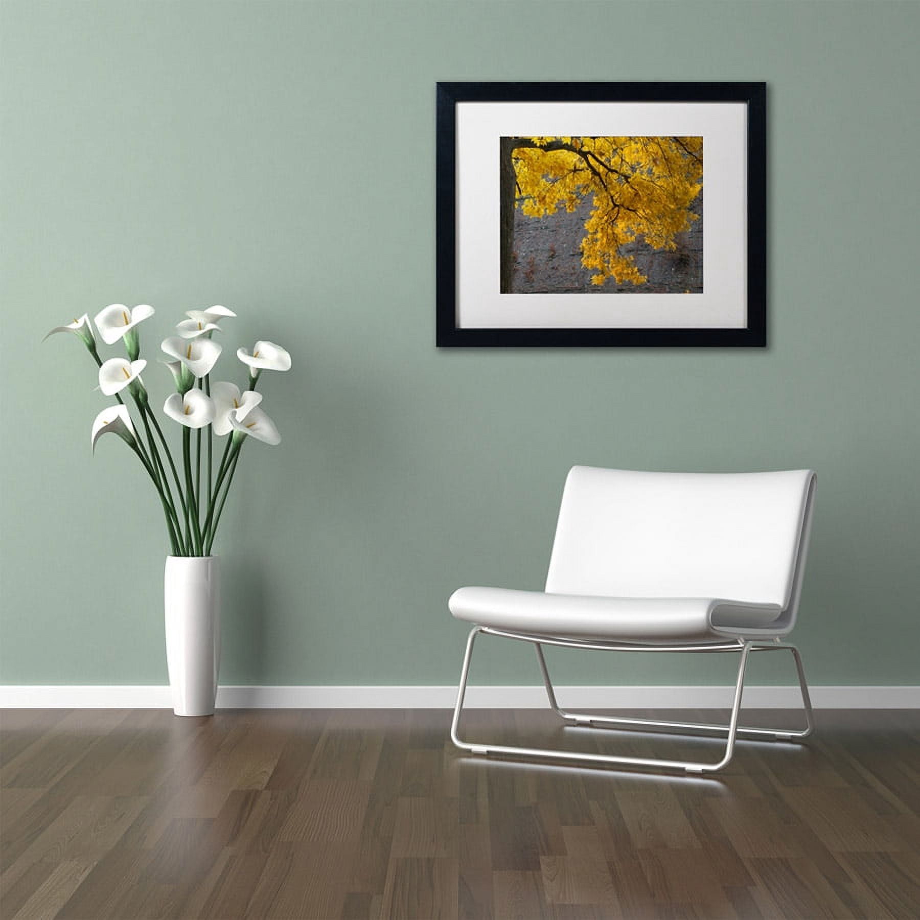 Trademark Fine Art "Golden Autumn Color" Canvas Art by Kurt Shaffer, White Matte, Black Frame