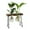 Dual Bottle, variant on Flower Vase Glass Flower Vase Arrangement Flower Plant Propagation Plant Terrarium Simple for Center Table, Office, Living Room Single bottle
