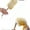 2PACK, variant on 18.9-Inch Pure Lambs Wool Duster with Wood Handle(Pack of 1)