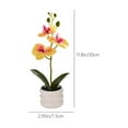 thumbnail image 3 of Ruhiku GW Realistic Artificial Phalaenopsis Orchid - Plastic Everlasting Flower with Weighted Pot, Faux Plant for Wedding Décor, Home & Commercial Spaces​​ (Yellow), 3 of 9