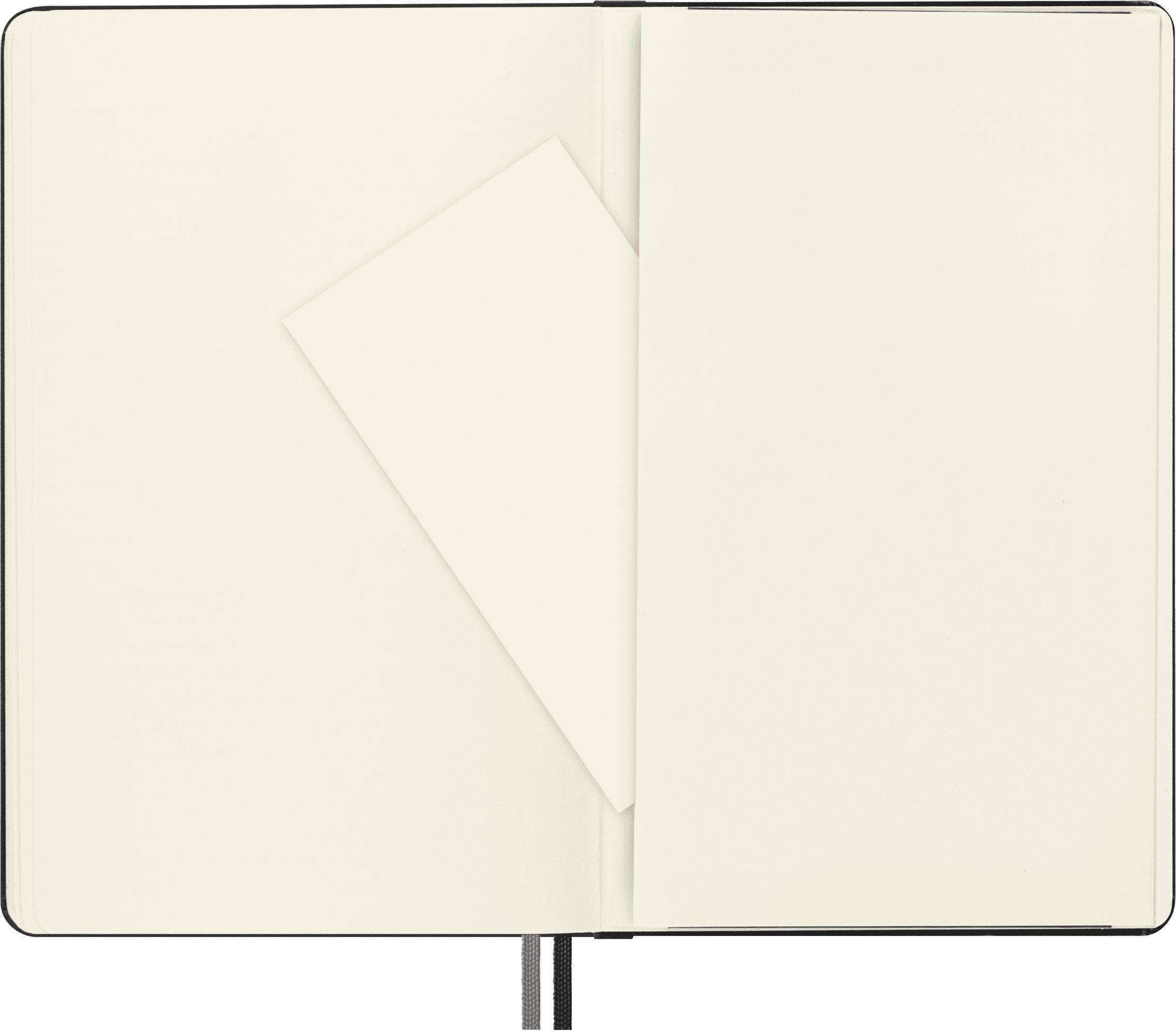 Moleskine Classic Expanded Notebook, Hard Cover, Large (5" x 8.25"), Plain, Black