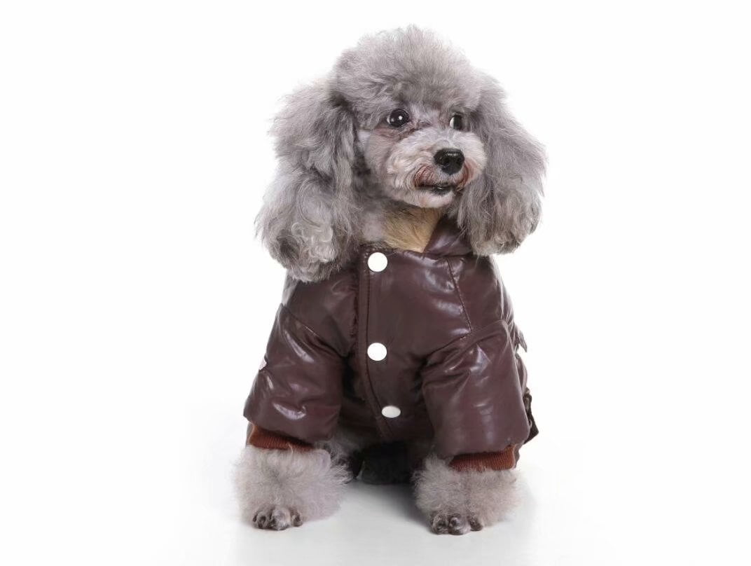 air force dog clothes