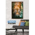 thumbnail image 2 of Tiger - Water Wall Poster, 22.375" x 34", Framed, 2 of 5