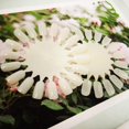 thumbnail image 2 of 20PCS Plastic 18 Tips False Nail Swatches Wheels Nail Art Color Polish Display Wheel for Manicure, 2 of 5