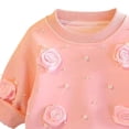 thumbnail image 5 of asjyhkr Toddler Girls Vacation Sets Flower Long Sleeve Sweatshirts Pants Cute Party Casual Fall Outfits 2 Piece(0-1 Years), 5 of 5