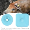 thumbnail image 3 of Blank Cattle Ear Tags, 100 Pcs BLivestock Ear Tags Square Livestock Animal Identification Cattle Earring Marker For Pigs, 3 of 8