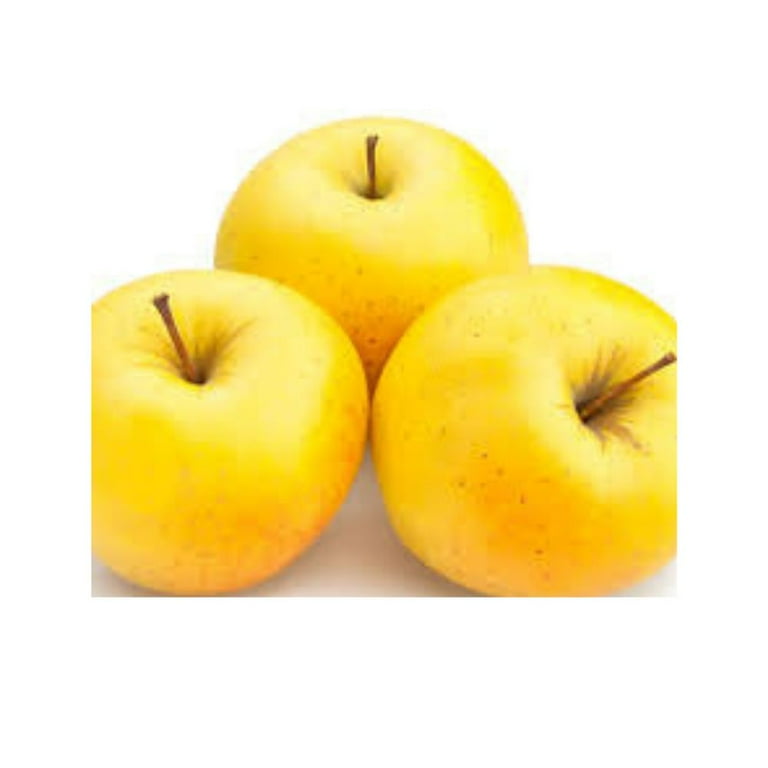 Expert Gardener 3-4 ft tall Golden Delicious Apple Live Tree in 7