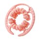 thumbnail image 1 of Abrazadera circular para piernas, rodillo de masaje para piernas, brazos ligeros, suministros versátiles para músculos Rosa, 1 of 9