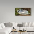 thumbnail image 3 of Trademark Fine Art 'Tropical Cave' Canvas Art by Pierre Leclerc, 3 of 3