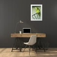 thumbnail image 3 of Flaherty, Dennis 23x32 White Modern Wood Framed Museum Art Print Titled - Puerto Rico A green parrot on Vieques island, 3 of 4