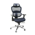 OFM Ergo Office Chair featuring Mesh Back and Seat with Optional