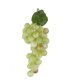 thumbnail image 4 of Frutas Prop Artificial Boceto Plástico Decoración Patio Oficina Hotel Fiesta Baoblaze Uva artificial, 4 of 8