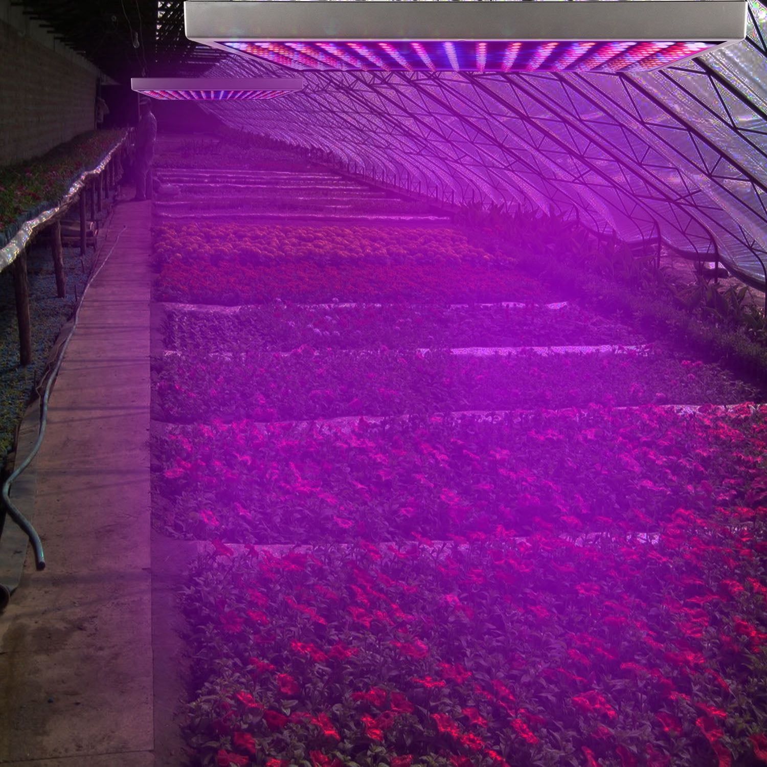 LED Grow Light, Full Spectrum Hanging 225 LEDs Plant Grow Lamp, Indoor Grow Light for Greenhouse Succulents Seedlings Plants Veg and Flower, 15W LED