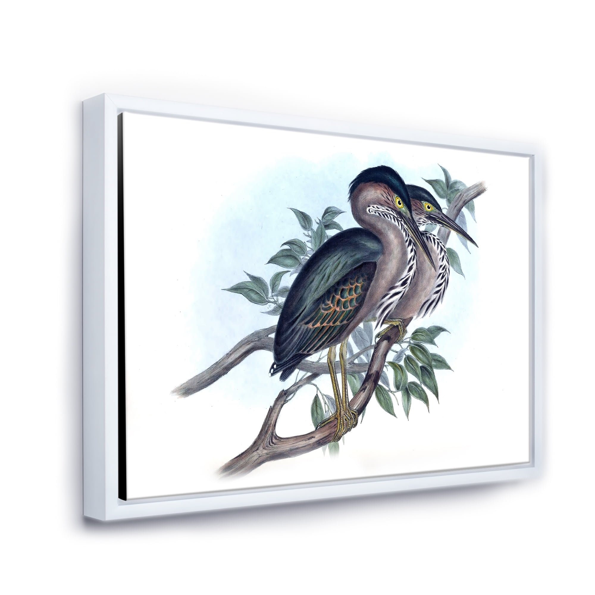 Designart 'Ancient Australian Birds VII' Traditional Framed Canvas Wall Art Print
