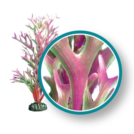 Weco Products Marine Pro Series Red Giant Kelp Airstone Aquatic Plants 18 inch