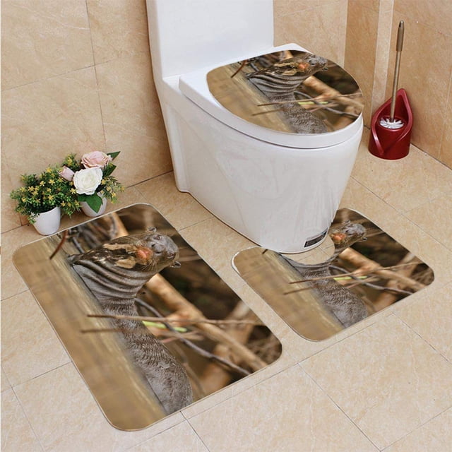 ABPHQTO Nutria gigante de río en el hábitat natural Juego de alfombras de baño de 3 piezas Alfombra de baño Alfombra de contorno y tapa de inodoro