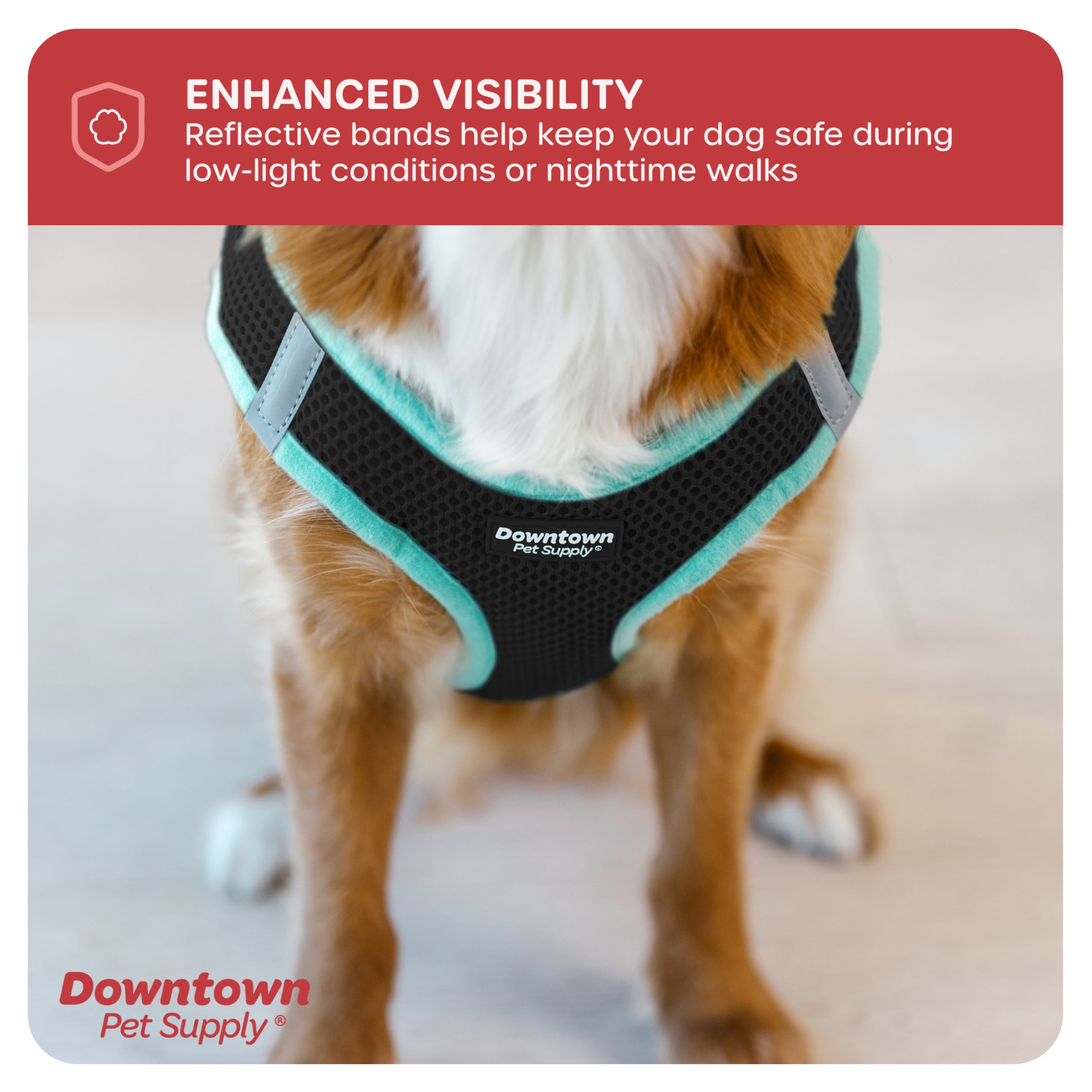 Downtown Pet Supply Step In Dog Harness For Small Dogs No Pull, Small, Black w/ Light Blue Trim