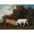 thumbnail image 3 of George Stubbs 24x19 Black Modern Framed Museum Art Print Titled - Bulls Fighting (1786), 3 of 5