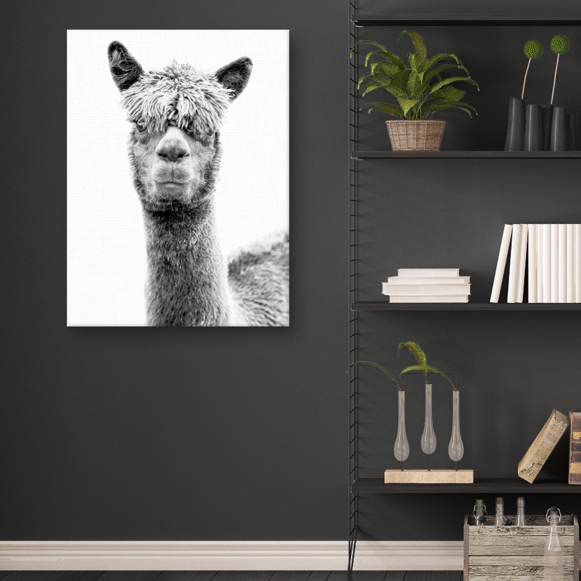 Jalisa by Bill Philip Llama Photo Canvas Art