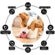 thumbnail image 2 of ZHAOCHENG pelotas de juguete para perros, pelota para masticar para perros, dientes limpios de goma, juguete no tóxico resistente a las mordeduras, pelota de juguete interactiva de entrenamiento de ro, 2 of 4