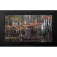 thumbnail image 2 of Head, Danny 18x12 Black Modern Framed Museum Art Print Titled - On the Bayou II, 2 of 5