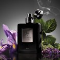 thumbnail image 3 of Perfume Ralph Lauren Ralph's Club Elixir 150 ml para hombre, 3 of 9