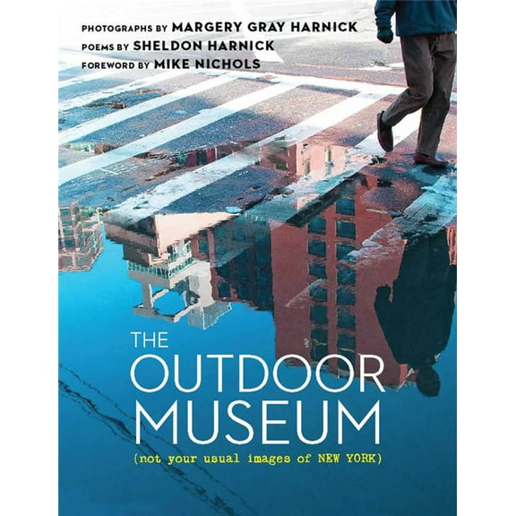 The Outdoor Museum : Not Your Usual Images of New York (Paperback)