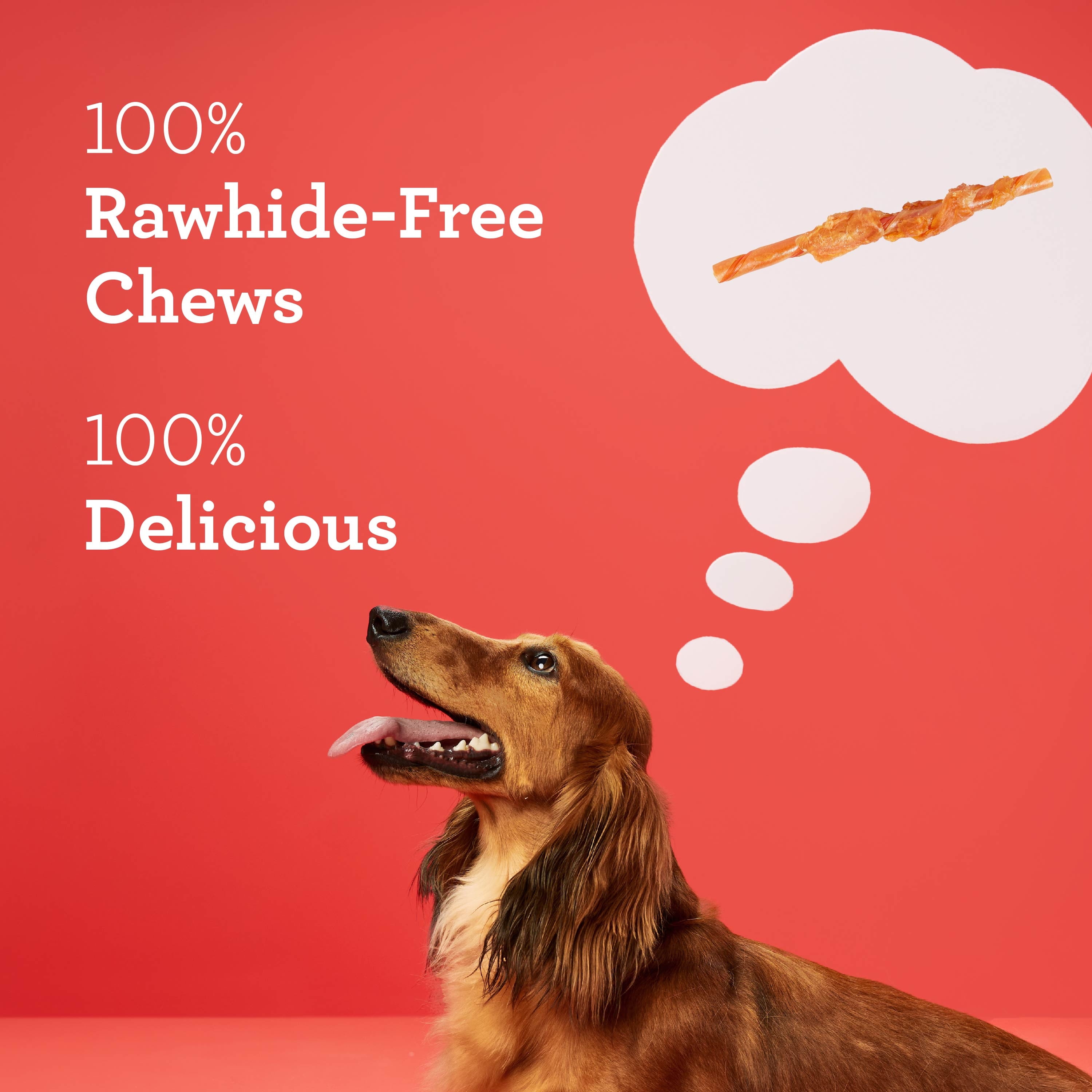 (2 pack) DreamBone Twists Wrapped with Chicken Rawhide-Free Dog Chews, 8.8 Oz. (36 Count)