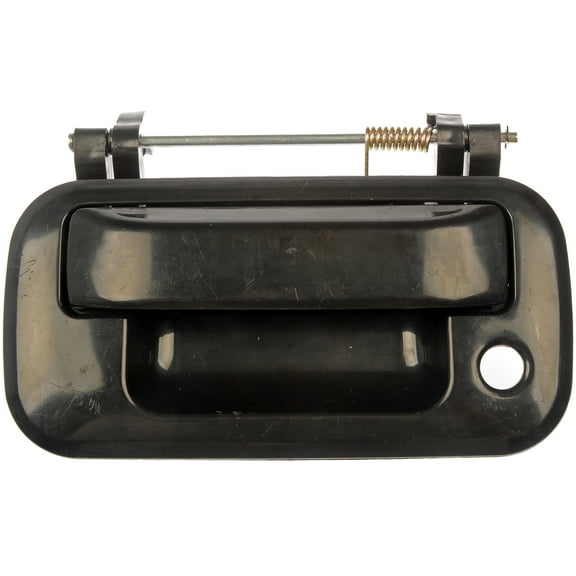 Dorman 80208 Tailgate Handle for Specific Ford Models, Black
