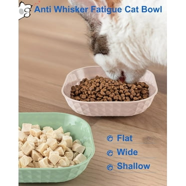 Papapt 4-Pack Cat Food Bowls, Whisker Fatigue Cat Dishes for Food, Cute Cat Bowl with Non-Slip Feet, 5.5" Flat Kitten Bowls for Wet Food, Small Cat Plates for Indoor Cats