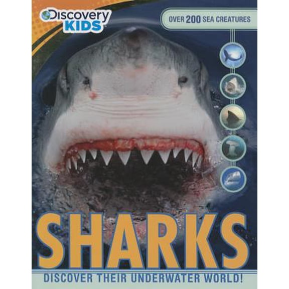 Pre-Owned Discovery Kids Sharks: Discover Their Underwater World! (Hardcover) 1474831923 9781474831925