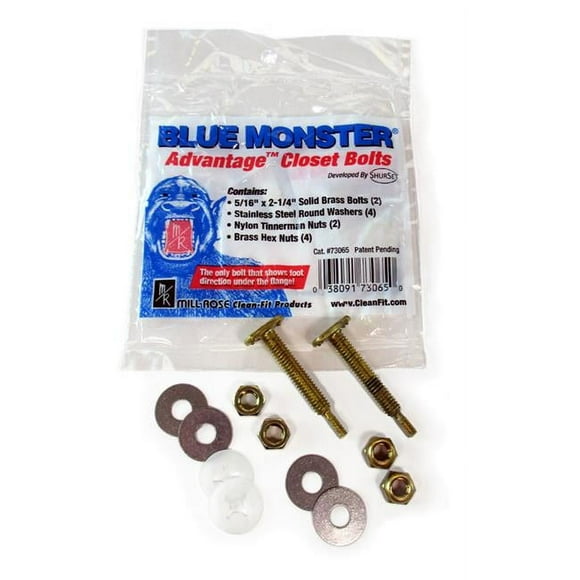 Blue Monster 4000240 0.31 x 2.25 in. Advantage Closet Bolts