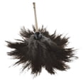 thumbnail image 1 of 22" Economy Ostrich Feather Duster, 1 of 1
