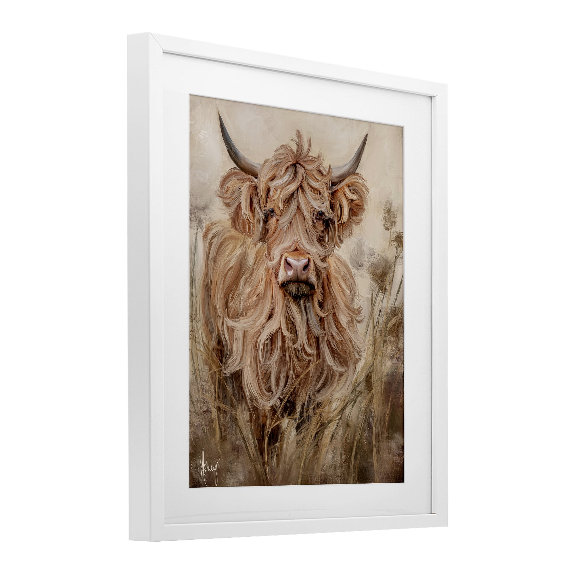 Curly Haired Highland Cattle White Framed Print Under Glass, design by Ashley Bradley