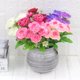 thumbnail image 3 of Gwong Decoración hogareña Flor artificial llena de vitalidad, ornamental, sin agua, necesidad, gota de agua, camelia, plantas de simulación para balcón. Gwong 21080570, 3 of 6