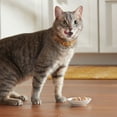 thumbnail image 4 of Meow Mix Chunks in Gravy Wet Cat Food With REAL Chicken Breast, 2.75 oz Cup (Packaging And Formulation Updates Underway), 4 of 10
