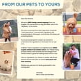thumbnail image 6 of A Better Treat – Organic Freeze Dried Chicken Breast Dog Treats, Organic, Single Ingredient | Natural Healthy High Value | Gluten Free, Grain Free, High Protein, Diabetic Friendly | Made in The USA, 6 of 6