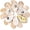 4-5 Inch 10Pcs, variant on Cleaned Flat Oyster Shells, 10PC Natural Seashells for Craft Painting, Decoupage, Vase Filler, Coastal Wedding Decor, Christmas Beach DIY Art Projects