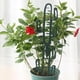thumbnail image 4 of Monstrate Paquete de 2 marcos de escalada para plantas, soporte para balcón, planta de interior, enredadera, plantas, frutas, Cactus, inserción Jardín y Patio, 4 of 6