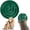Green, variant on Slow Feeder Dog Bowl - 1/2 Cup Small Dog Bowl with Puzzle Maze Design - Anti-Choking Silicone Feeder for Puppies & Cats - Slows Fast Eaters for Better Digestion, Green