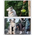 thumbnail image 2 of 2 PCS Support pour Chien, Porte-Sacs à Déchets, Porte-Sacs pour Chien, Porte-Sacs pour Chien, Porte-Sacs pour Chien Sans Main, Porte-Sacs pour Chien, Noir, 2 of 4