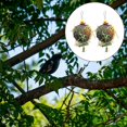 thumbnail image 4 of 2pcs Bird Chew Toy Rattan Balls Safe Material Chewing Foraging Parrot Toy for Small Medium Birds Cockatiel, 4 of 4
