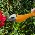 Toy Viewer Catcher Bugview Catching Magnifier Gnat Sticky Motels Fruit toy-viewer-catcher-bugview-catching-magnifier-gnat-sticky-motels-fruit